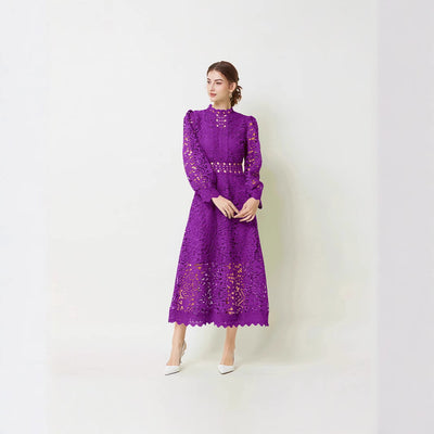 Ladies Long Sleeves Stylish  Dress